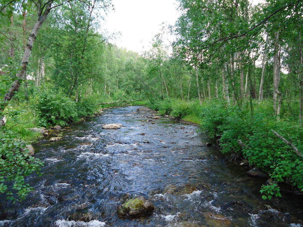 Gargia Lodge Алта Екстериор снимка
