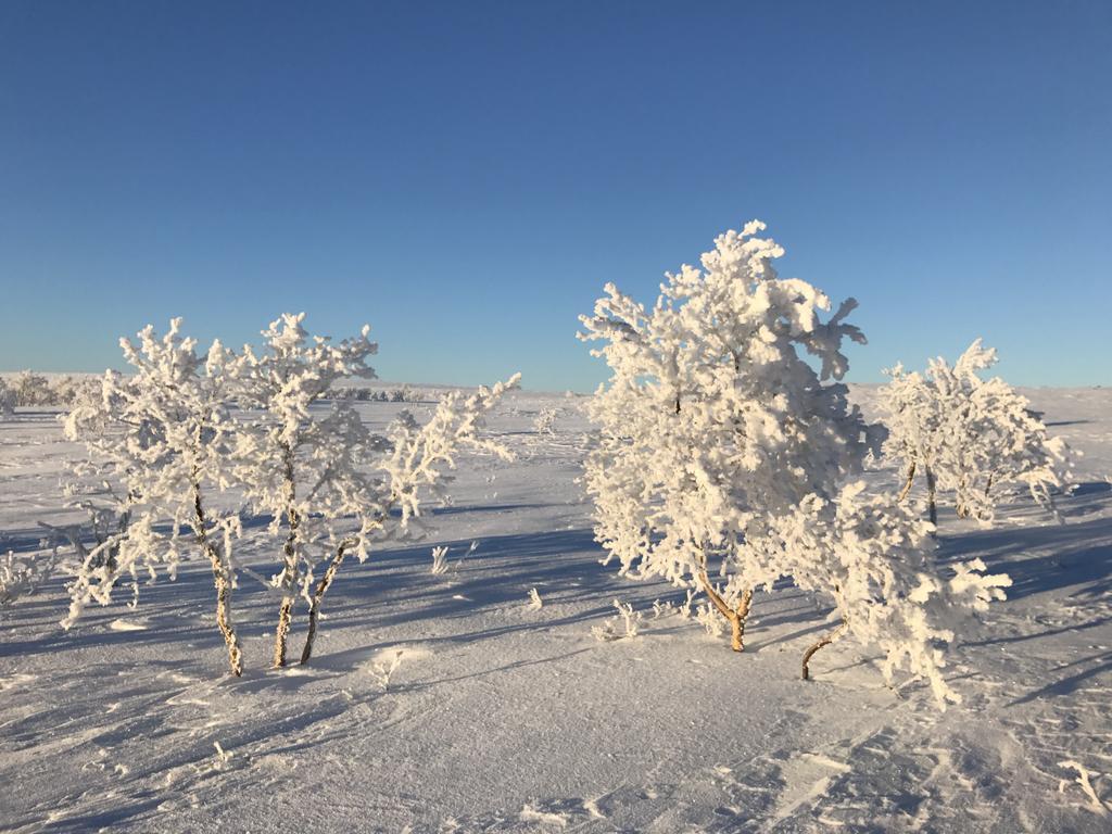 Gargia Lodge Алта Екстериор снимка